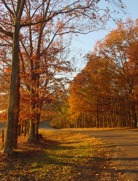 Autumn