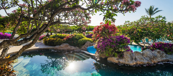 F&B All‑Inclusive Escape | Grand Hyatt Bali